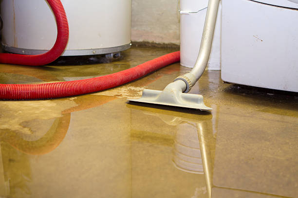 Best Ceiling water damage repair  in Englewood, CO