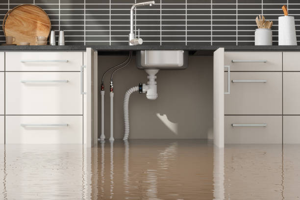 Best Carpet water damage restoration  in Englewood, CO