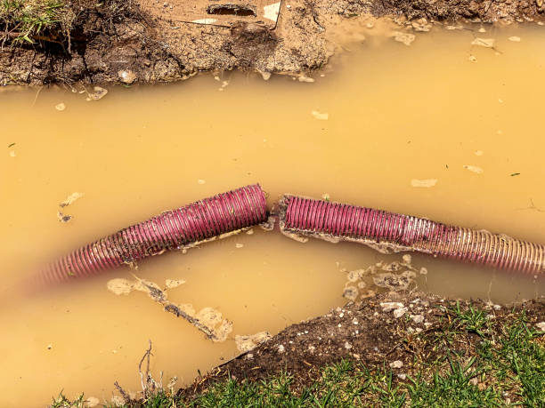 Best Water damage restoration near me  in Englewood, CO