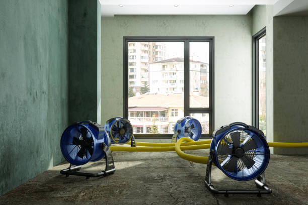 Best Water damage cleanup near me  in Englewood, CO